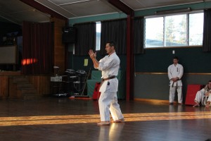 shodan grading 2014 028